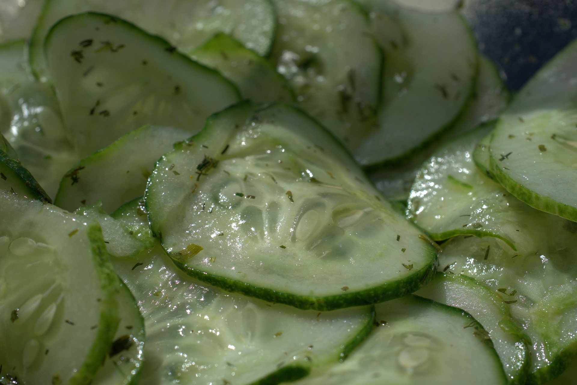 oktoberfest cucumber salad