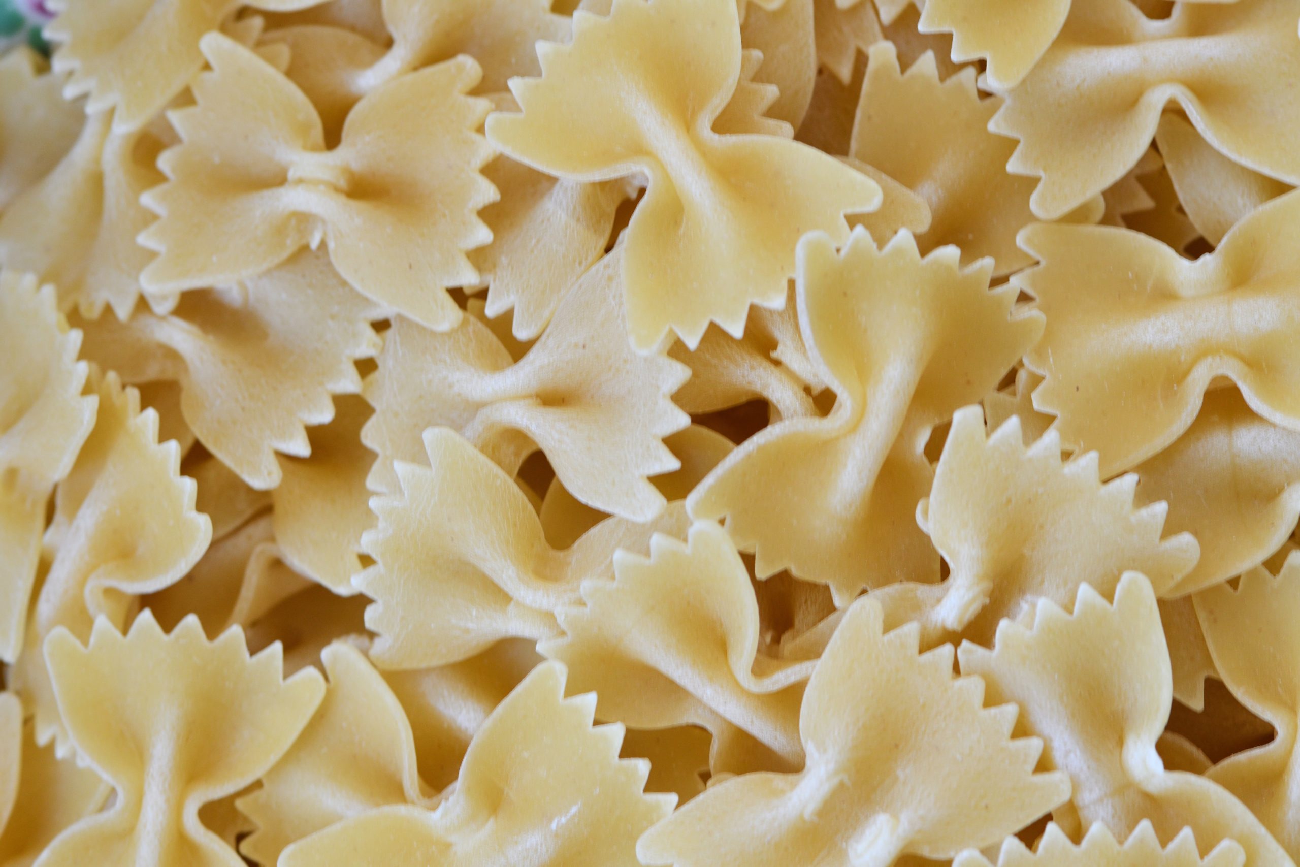 creamy bowtie mushroom pasta